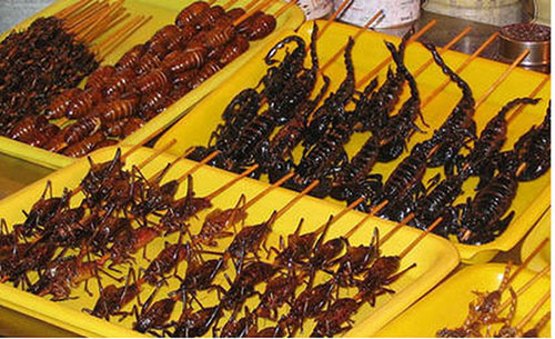 Các món ăn từ côn trùng – nét độc đáo của ẩm thực Thái Lan             