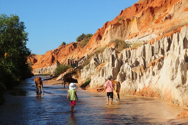 suoi tien phan thiet 1 - Một vẻ đẹp đặc biệt hiếm có - Suối Tiên Phan Thiết