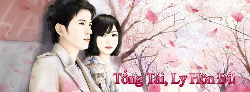 Tổng tài, ly hôn đi