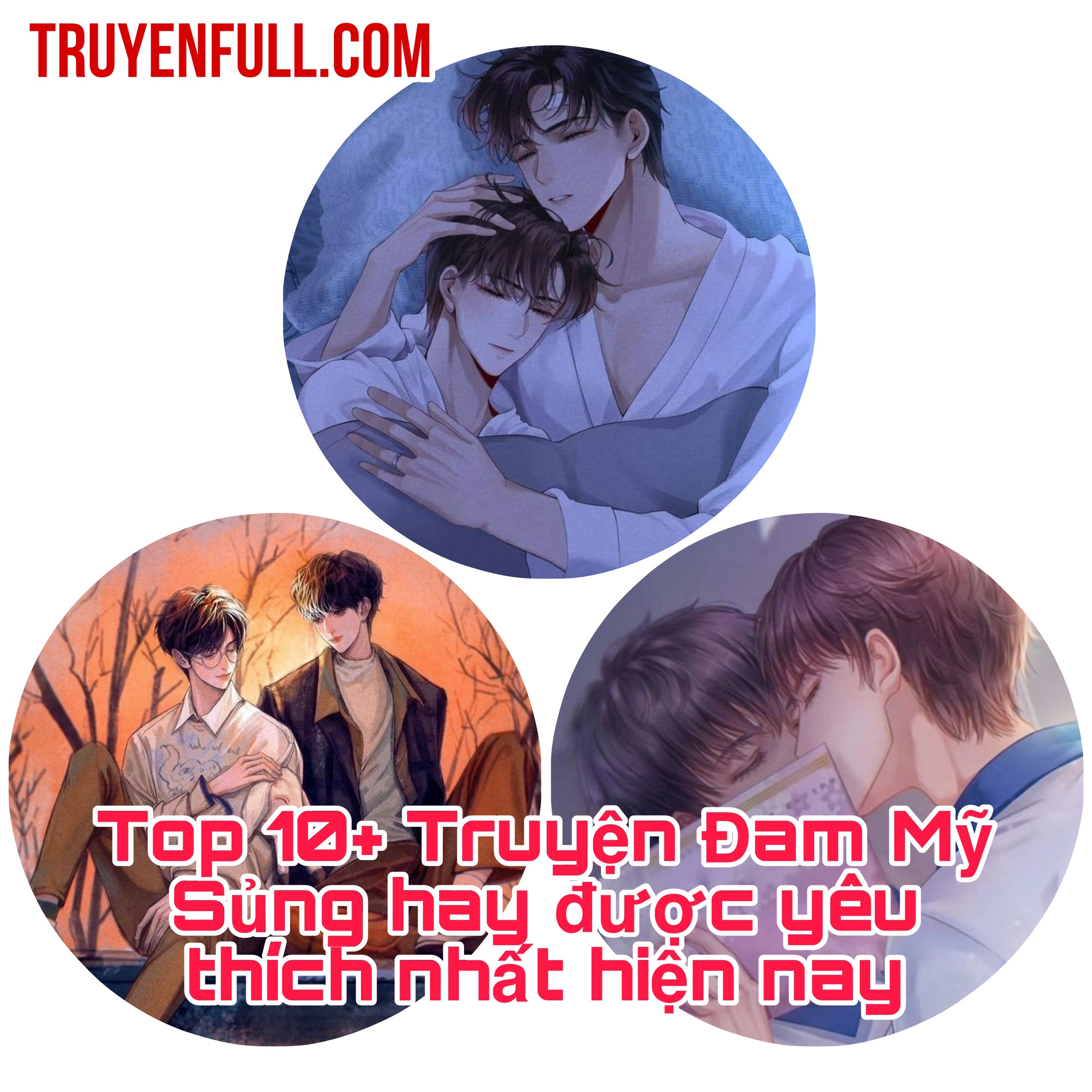 Top 10+ Truyện Đam Mỹ Sủng hay được yêu thích nhất hiện nay